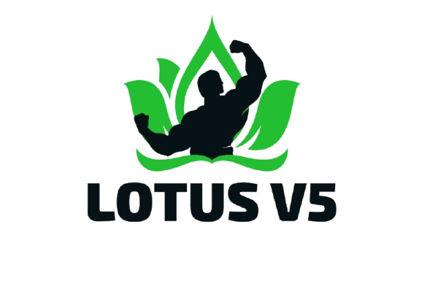Lotus V5 — LGI Logiciel